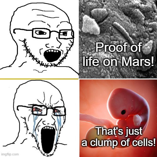 Pro-choice double standard | Proof of life on Mars! That's just a clump of cells! | image tagged in memes,abortion,abortion is murder,double standards,pro choice,pro life | made w/ Imgflip meme maker