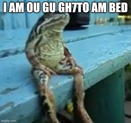 Frog Sit | I AM OU GU GH7TO AM BED | image tagged in frog sit | made w/ Imgflip meme maker