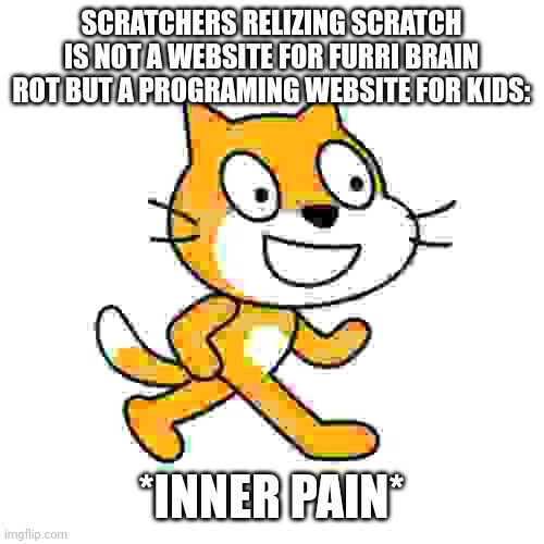 very real | SCRATCHERS RELIZING SCRATCH IS NOT A WEBSITE FOR FURRI BRAIN ROT BUT A PROGRAMING WEBSITE FOR KIDS:; *INNER PAIN* | image tagged in scratch cat,very real,real,scratch,scratchers,brain rot | made w/ Imgflip meme maker