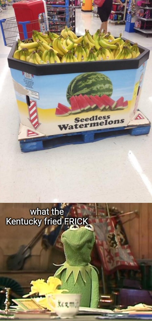 Yeah, sure, SEEDLESS WATERMELONS. They look weird, I wonder why... | what the Kentucky fried FRICK | image tagged in you had one job,disgusted kermit | made w/ Imgflip meme maker