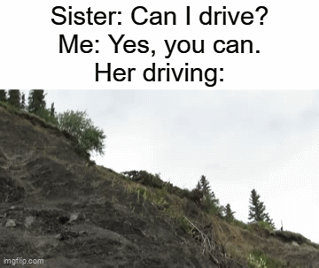 Never let your sister drive. | Sister: Can I drive?
Me: Yes, you can.
Her driving: | image tagged in gifs,funny | made w/ Imgflip video-to-gif maker