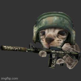 image tagged in silly critter | made w/ Imgflip meme maker