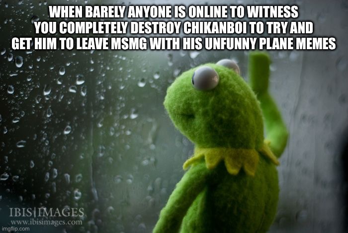 kermit window | WHEN BARELY ANYONE IS ONLINE TO WITNESS YOU COMPLETELY DESTROY CHIKANBOI TO TRY AND GET HIM TO LEAVE MSMG WITH HIS UNFUNNY PLANE MEMES | image tagged in kermit window | made w/ Imgflip meme maker