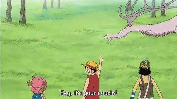 Racist Luffy Blank Meme Template