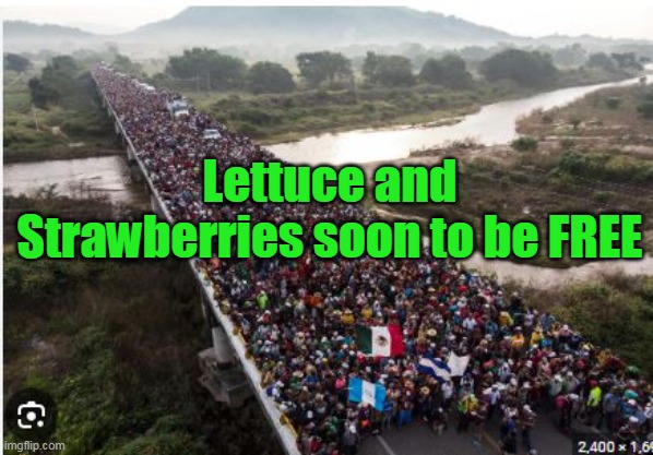 Lettuce and Strawberries soon to be FREE | made w/ Imgflip meme maker