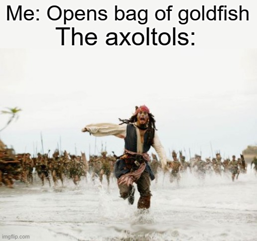 Jack Sparrow Being Chased Meme | Me: Opens bag of goldfish The axoltols: | image tagged in memes,jack sparrow being chased | made w/ Imgflip meme maker