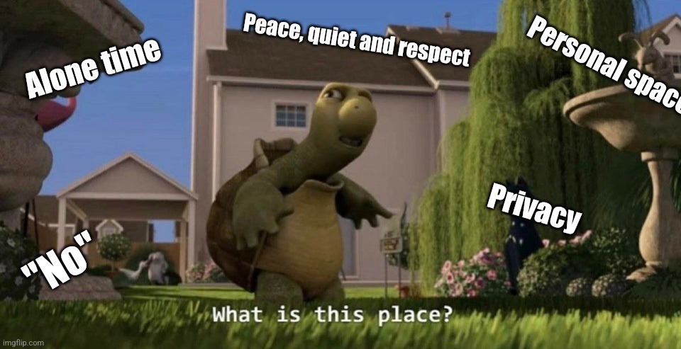 School be like. | Alone time; Peace, quiet and respect; Personal space; Privacy; "No" | image tagged in what is this place | made w/ Imgflip meme maker