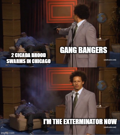Chicago Cicadas | GANG BANGERS; 2 CICADA BROOD SWARMS IN CHICAGO; I'M THE EXTERMINATOR NOW | image tagged in memes,who killed hannibal | made w/ Imgflip meme maker