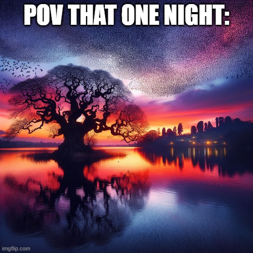 POV THAT ONE NIGHT: | image tagged in night | made w/ Imgflip meme maker