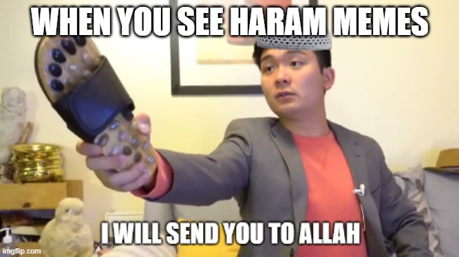 the halal version | WHEN YOU SEE HARAM MEMES | image tagged in the halal version | made w/ Imgflip meme maker
