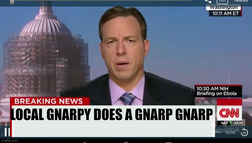 shitpost | LOCAL GNARPY DOES A GNARP GNARP | image tagged in cnn breaking news template | made w/ Imgflip meme maker