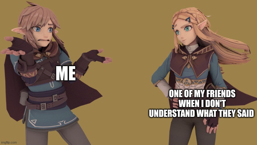 ME; ONE OF MY FRIENDS WHEN I DON'T UNDERSTAND WHAT THEY SAID | made w/ Imgflip meme maker