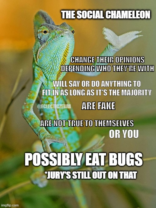 Chameleon with hand raised | THE SOCIAL CHAMELEON; CHANGE THEIR OPINIONS DEPENDING WHO THEY'RE WITH; WILL SAY OR DO ANYTHING TO FIT IN AS LONG AS IT'S THE MAJORITY; ARE FAKE; @ECLECTICZEBRA; ARE NOT TRUE TO THEMSELVES; OR YOU; POSSIBLY EAT BUGS; *JURY'S STILL OUT ON THAT | image tagged in chameleon with hand raised | made w/ Imgflip meme maker