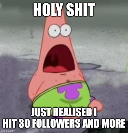 can’t believe it | HOLY SHIT; JUST REALISED I HIT 30 FOLLOWERS AND MORE | image tagged in suprised patrick | made w/ Imgflip meme maker