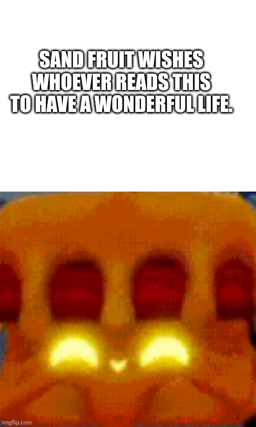 SAND FRUIT WISHES WHOEVER READS THIS TO HAVE A WONDERFUL LIFE. | image tagged in wholesome,sand fruit | made w/ Imgflip meme maker