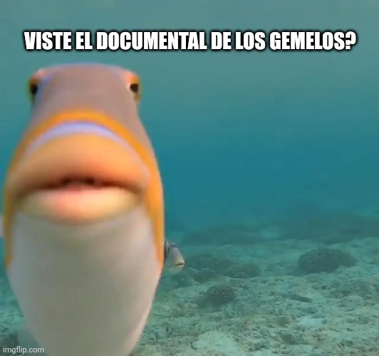 Pez | VISTE EL DOCUMENTAL DE LOS GEMELOS? | image tagged in pez | made w/ Imgflip meme maker