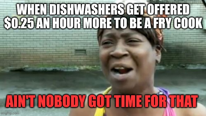 Ain't Nobody Got Time For That | WHEN DISHWASHERS GET OFFERED $0.25 AN HOUR MORE TO BE A FRY COOK; AIN'T NOBODY GOT TIME FOR THAT | image tagged in memes,ain't nobody got time for that | made w/ Imgflip meme maker