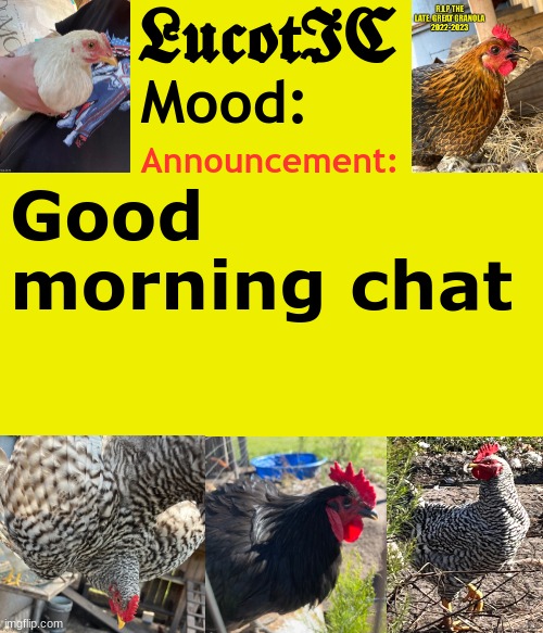 . | Good morning chat | image tagged in lucotic's cocks announcement template | made w/ Imgflip meme maker
