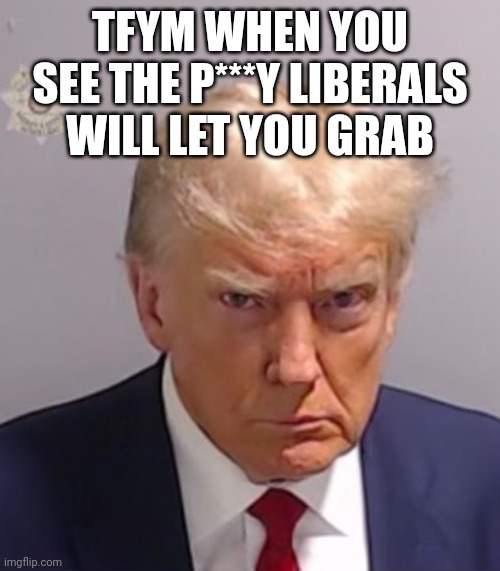 Donald Trump Mugshot | TFYM WHEN YOU SEE THE P***Y LIBERALS WILL LET YOU GRAB | image tagged in donald trump mugshot | made w/ Imgflip meme maker