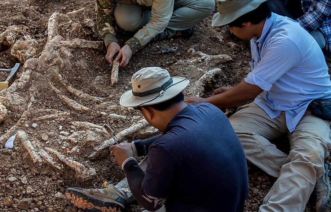 High Quality Archeologist Blank Meme Template