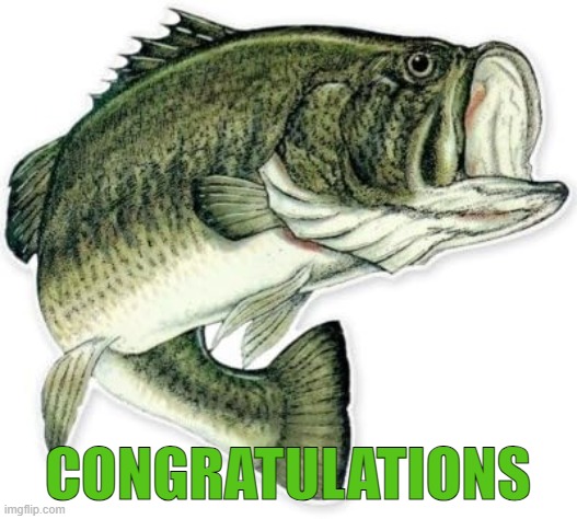 congratulations | CONGRATULATIONS | image tagged in bass | made w/ Imgflip meme maker