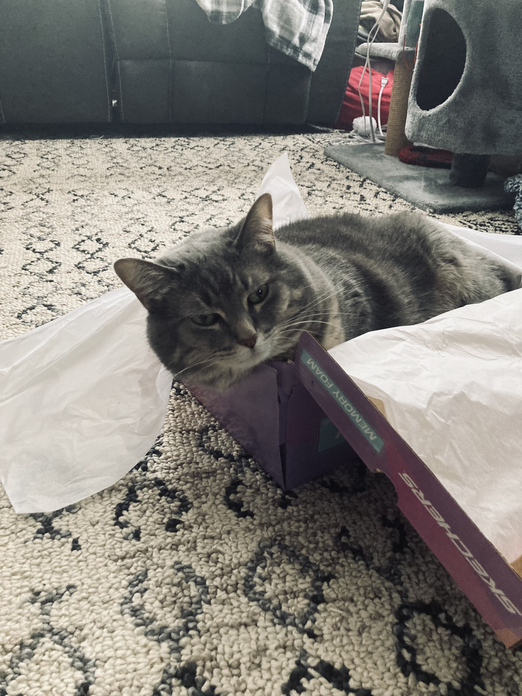 So you’re telling me Blank Meme Template