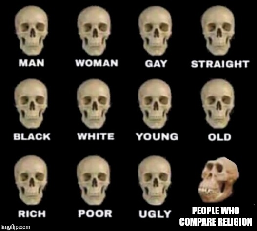 :( | PEOPLE WHO COMPARE RELIGION | image tagged in idiot skull | made w/ Imgflip meme maker