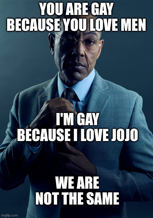 Gus Fring we are not the same | YOU ARE GAY BECAUSE YOU LOVE MEN; I'M GAY BECAUSE I LOVE JOJO; WE ARE NOT THE SAME | image tagged in gus fring we are not the same | made w/ Imgflip meme maker