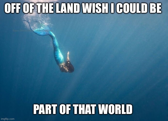 OFF OF THE LAND WISH I COULD BE; PART OF THAT WORLD | image tagged in the little mermaid | made w/ Imgflip meme maker