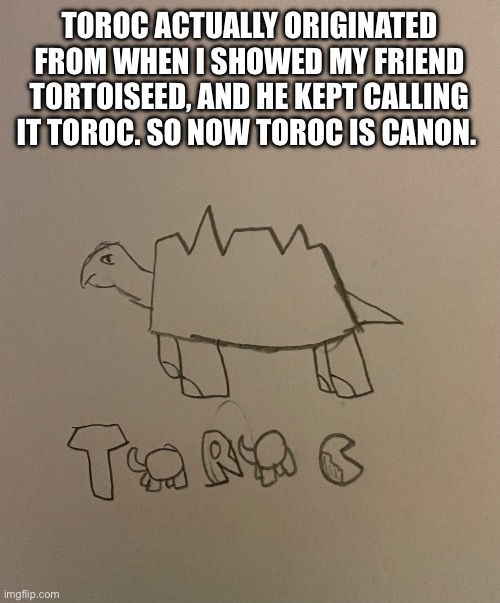 TOROC ACTUALLY ORIGINATED FROM WHEN I SHOWED MY FRIEND TORTOISEED, AND HE KEPT CALLING IT TOROC. SO NOW TOROC IS CANON. | made w/ Imgflip meme maker