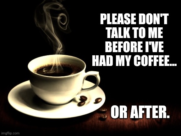 Coffee | PLEASE DON'T TALK TO ME BEFORE I'VE HAD MY COFFEE... OR AFTER. | image tagged in coffee lust,no talk before coffee,coffee | made w/ Imgflip meme maker