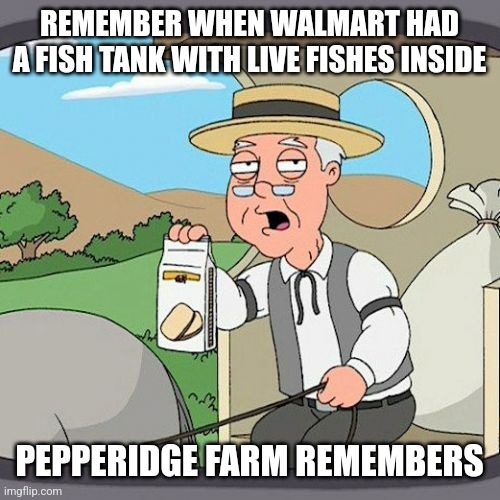 Walmart between 1990-2008 nostalgia | REMEMBER WHEN WALMART HAD A FISH TANK WITH LIVE FISHES INSIDE; PEPPERIDGE FARM REMEMBERS | image tagged in memes,pepperidge farm remembers,walmart,back in my day,2000s | made w/ Imgflip meme maker