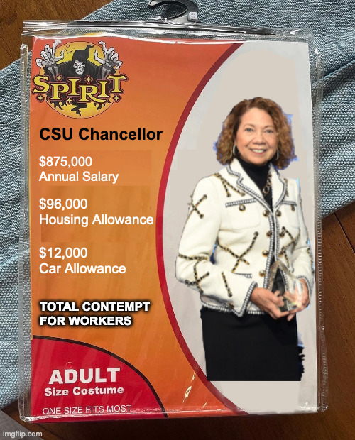 CSU Chancellor Costume | CSU Chancellor; $875,000
Annual Salary; $96,000
Housing Allowance; $12,000
Car Allowance; TOTAL CONTEMPT
FOR WORKERS | image tagged in spirit halloween | made w/ Imgflip meme maker