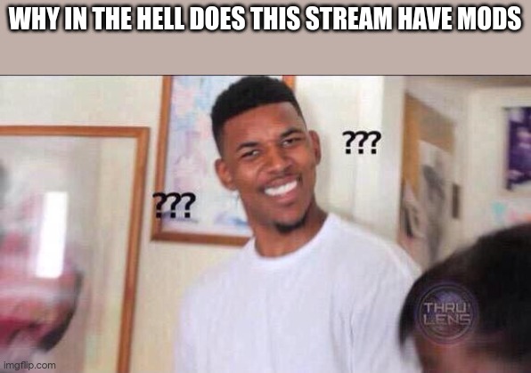 like bro tell me | WHY IN THE HELL DOES THIS STREAM HAVE MODS | image tagged in black guy confused | made w/ Imgflip meme maker