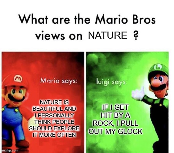 damn weegee | NATURE; NATURE IS BEAUTIFUL AND I PERSONALLY THINK PEOPLE SHOULD EXPLORE IT MORE OFTEN; IF I GET HIT BY A ROCK, I PULL OUT MY GLOCK | image tagged in mario bros views,nature,rocks,oh wow are you actually reading these tags | made w/ Imgflip meme maker