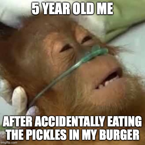 Dying orangutan | 5 YEAR OLD ME; AFTER ACCIDENTALLY EATING THE PICKLES IN MY BURGER | image tagged in dying orangutan | made w/ Imgflip meme maker