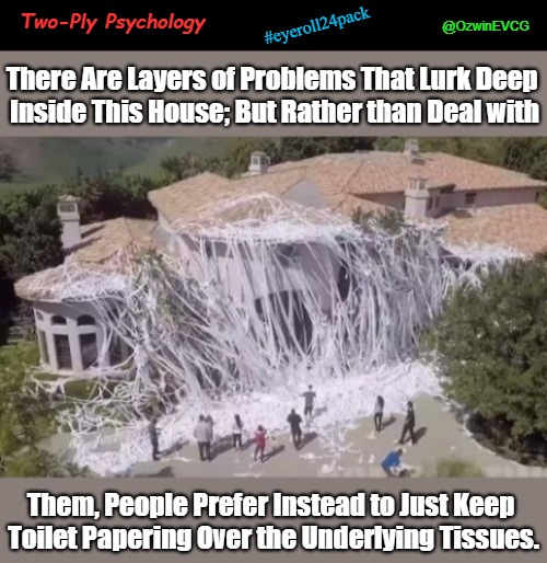 Two-Ply Psychology | Two-Ply Psychology; @OzwinEVCG; #eyeroll24pack; There Are Layers of Problems That Lurk Deep 

Inside This House; But Rather than Deal with; Them, People Prefer Instead to Just Keep 

Toilet Papering Over the Underlying Tissues. | image tagged in counseling,eyeroll meme,psychologist,toilet paper,denial,group projects | made w/ Imgflip meme maker