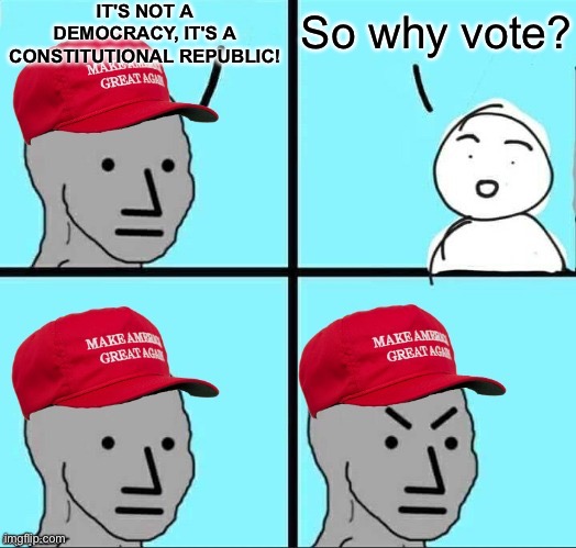 MAGA NPC (AN AN0NYM0US TEMPLATE) | IT'S NOT A DEMOCRACY, IT'S A CONSTITUTIONAL REPUBLIC! So why vote? | image tagged in maga npc an an0nym0us template | made w/ Imgflip meme maker