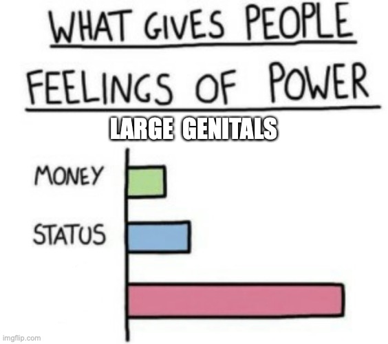 What Gives People Feelings of Power | LARGE  GENITALS | image tagged in what gives people feelings of power | made w/ Imgflip meme maker