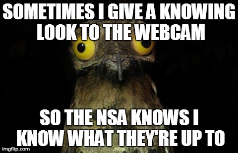Weird Stuff I Do Potoo | SOMETIMES I GIVE A KNOWING LOOK TO THE WEBCAM SO THE NSA KNOWS I KNOW WHAT THEY'RE UP TO | image tagged in memes,weird stuff i do potoo,AdviceAnimals | made w/ Imgflip meme maker
