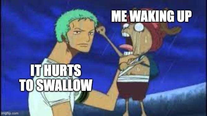 Zoro choking Chopper | ME WAKING UP; IT HURTS TO SWALLOW | image tagged in zoro choking chopper | made w/ Imgflip meme maker