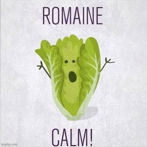 We can learn a lot from Veggies, if we just listen | image tagged in vince vance,romaine,calm,talking,vegetales,memes | made w/ Imgflip meme maker