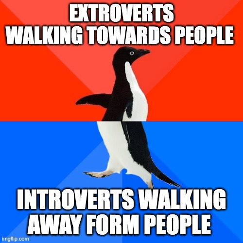 Introverts & Extroverts | EXTROVERTS WALKING TOWARDS PEOPLE; INTROVERTS WALKING AWAY FORM PEOPLE | image tagged in memes,socially awesome awkward penguin,extroverts,introverts | made w/ Imgflip meme maker