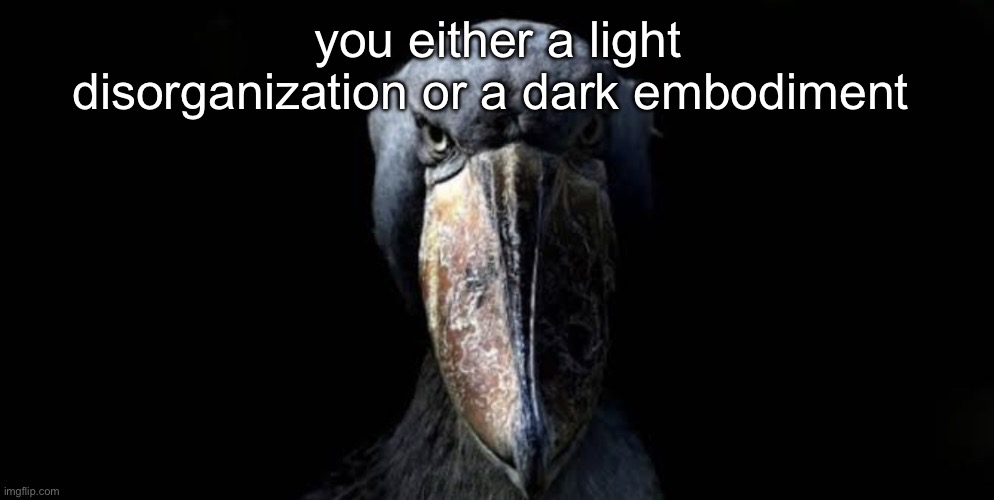 ummm ummmm uhh i forgor | you either a light disorganization or a dark embodiment | image tagged in the w cropped | made w/ Imgflip meme maker