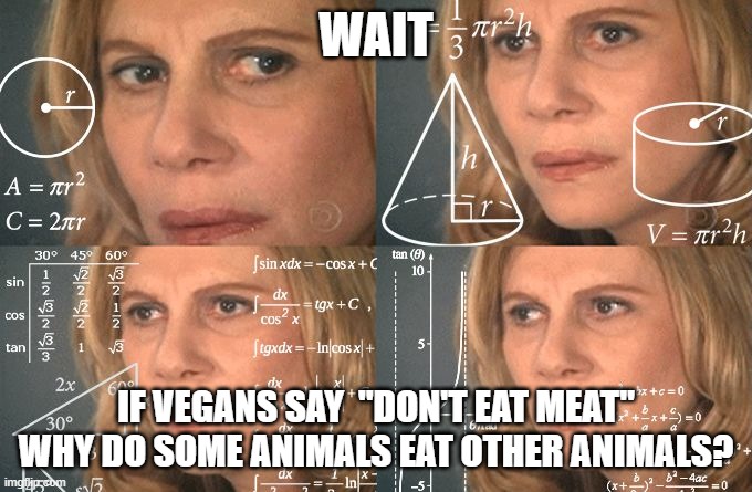 Calculating meme | WAIT; IF VEGANS SAY  "DON'T EAT MEAT"
WHY DO SOME ANIMALS EAT OTHER ANIMALS? | image tagged in calculating meme,paradox,vegans,veganism,question | made w/ Imgflip meme maker