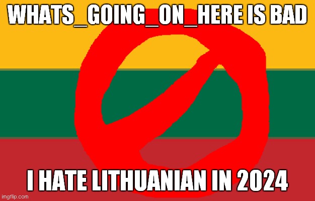 i hate Whats_going_on_here | WHATS_GOING_ON_HERE IS BAD; I HATE LITHUANIAN IN 2024 | image tagged in ugly lithuanian | made w/ Imgflip meme maker
