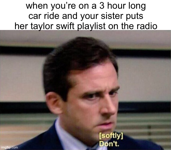 a | when you’re on a 3 hour long car ride and your sister puts her taylor swift playlist on the radio | image tagged in michael scott don't softly | made w/ Imgflip meme maker