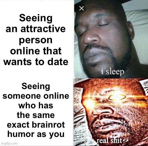 Sleeping Shaq | Seeing an attractive person online that wants to date; Seeing someone online who has the same exact brainrot humor as you | image tagged in memes,sleeping shaq | made w/ Imgflip meme maker