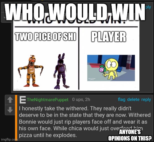 Who would win | WHO WOULD WIN; ANYONE'S OPINIONS ON THIS? | image tagged in who would win,fnaf | made w/ Imgflip meme maker