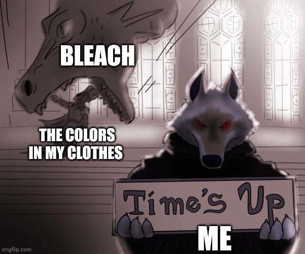 Be careful when using bleach | BLEACH; THE COLORS IN MY CLOTHES; ME | image tagged in guess time really is up | made w/ Imgflip meme maker